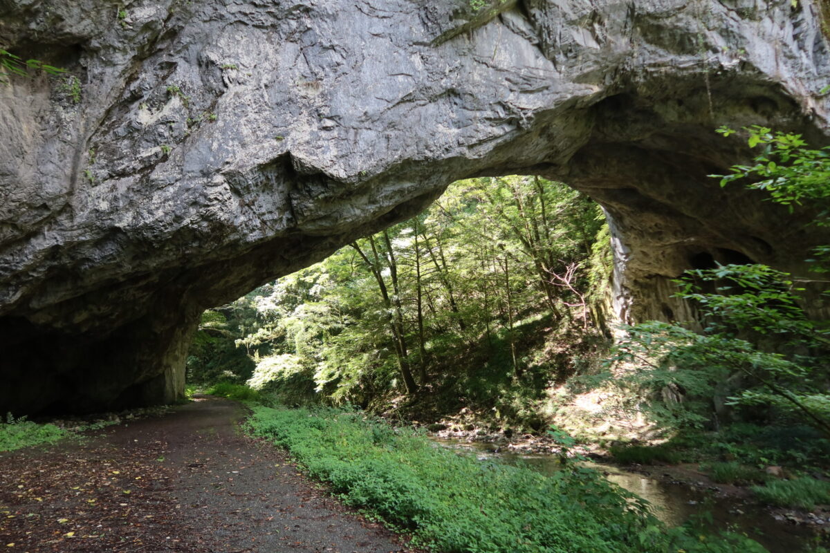 上流側からの雄橋。右側の低い場所を帝釈川が流れ、左側の一段高い茶色い部分は現在も通行できる道路だ
