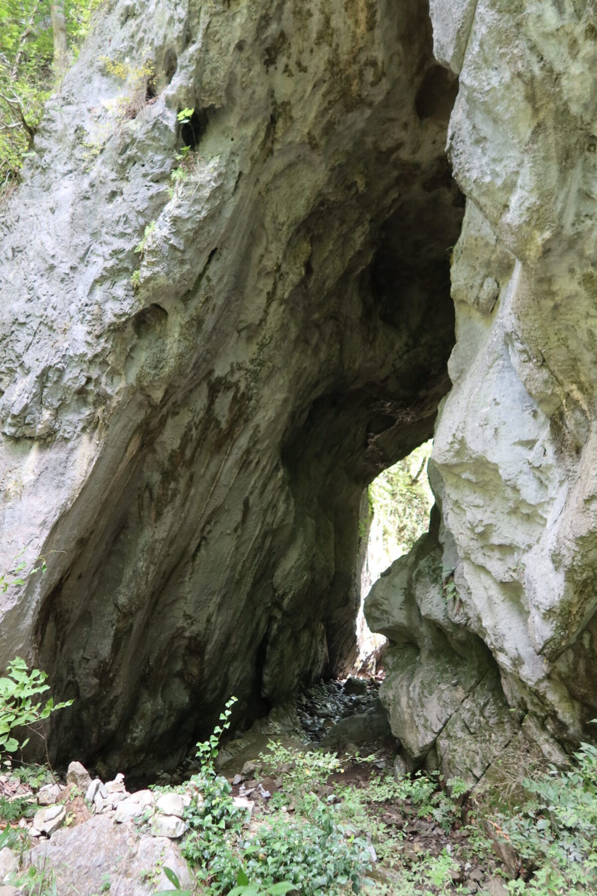雄橋にも近い「鬼の唐門」。岩の割れ目のようにも見えるが、こちらも天然橋の一種だ