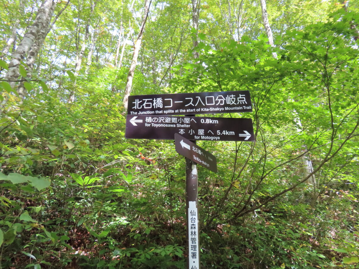 あまり歩かれていない登山道のわりに看板はしっかりと設けられているのがありがたい