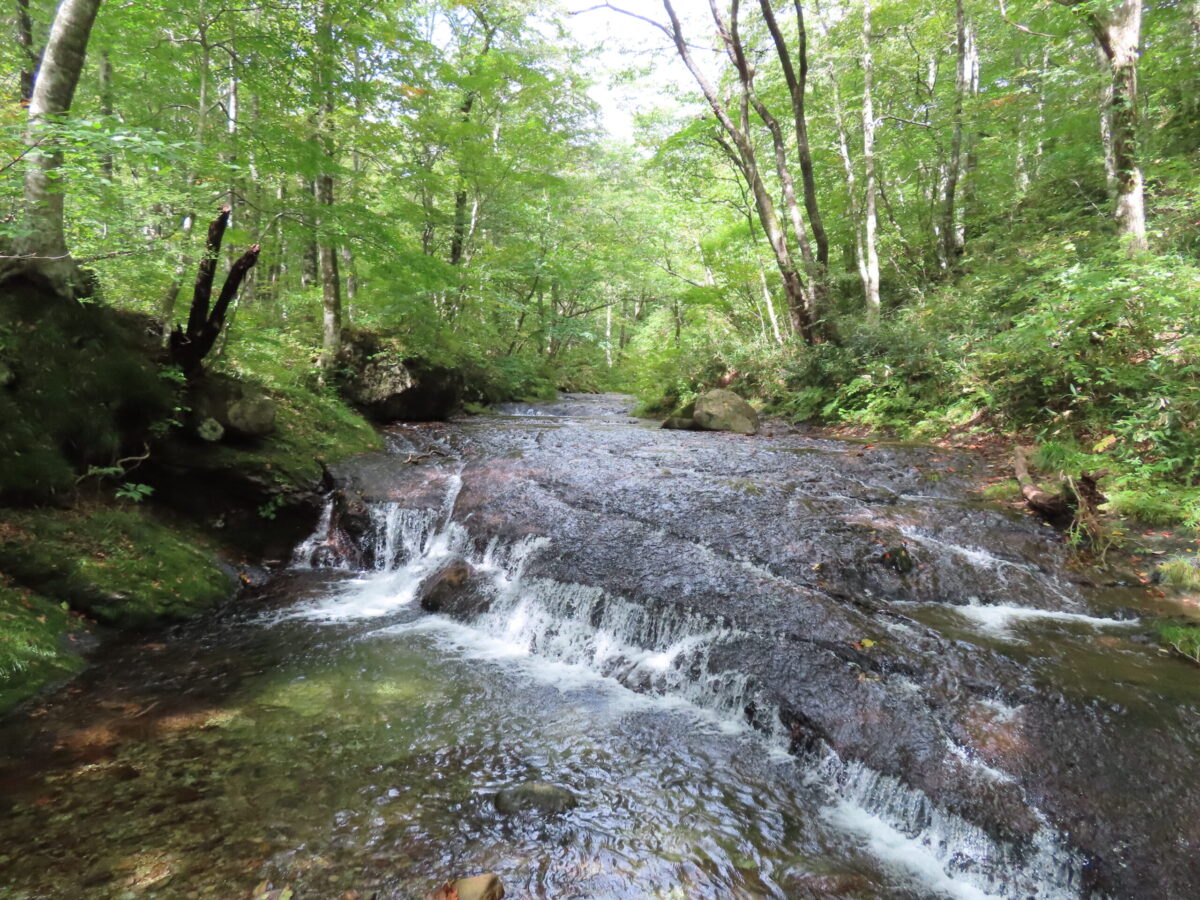 秋保（あきう）ビジターセンターから登山道に入り、途中で大行沢を渡渉。大東岳は沢登り愛好家にも人気の山域だ