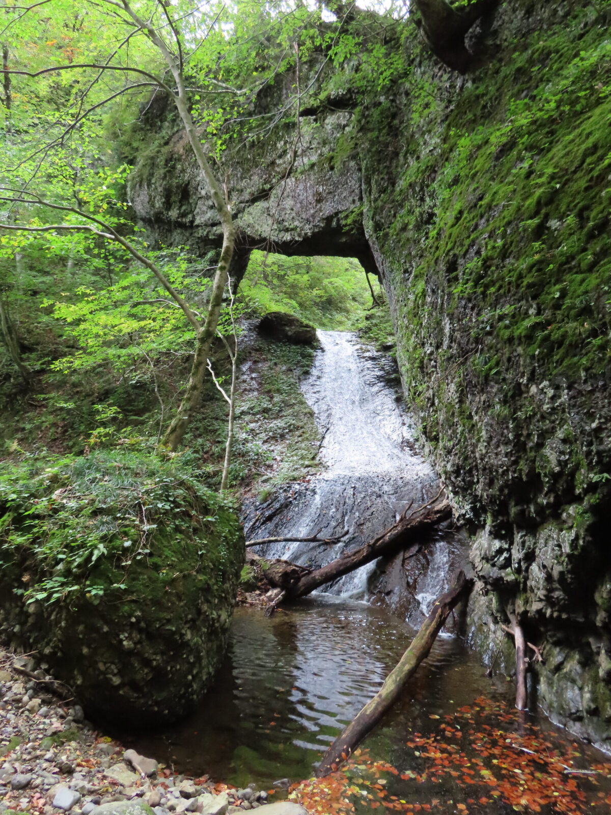 角度を変えて撮影した写真。水が流れ落ちた先は、小さな滝つぼのようになっている。北石橋は谷間にあるためにカメラの位置を引くことができず、写真にバリエーションをつけにくいのが難点だ