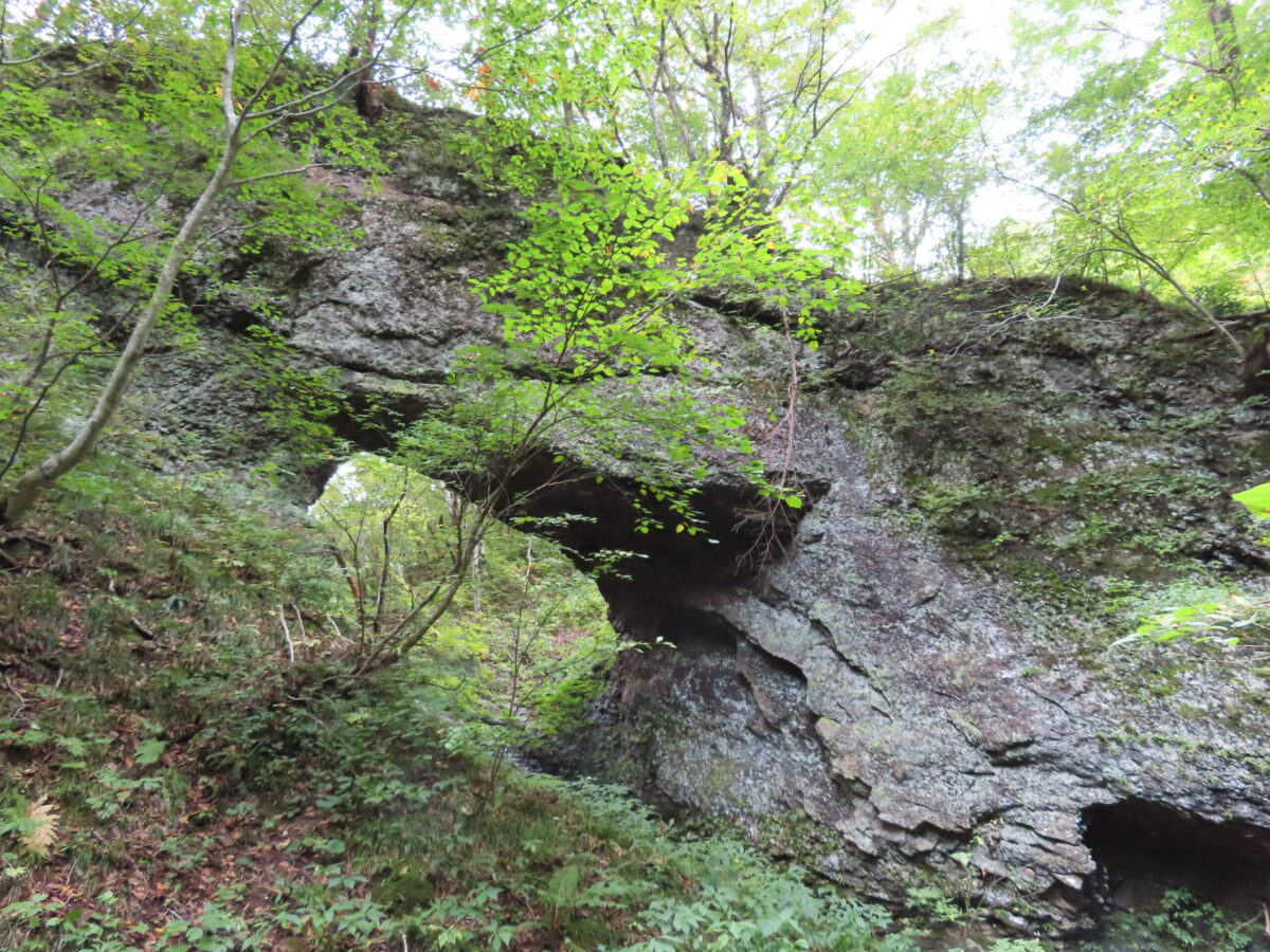 トンネルの上部はご覧の通り。完璧に岩のアーチになっている