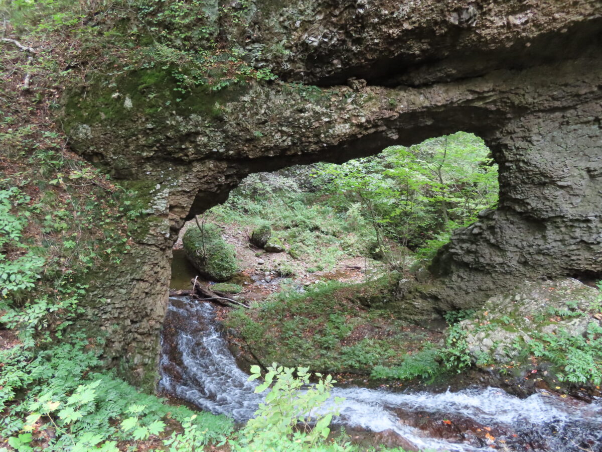 反対側(上流側)から見た北石橋。角度的に少々わかりにくいが、トンネルのなかに水が流れ込んでいる