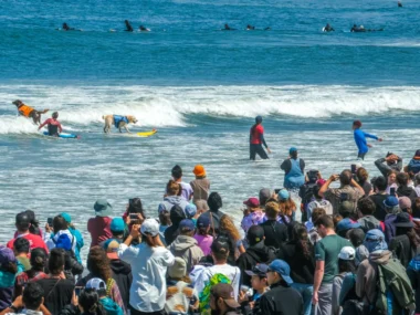カリフォルニアに渡りドッグサーフィン世界大会に初参加。6000人超の観客が見守る中、結果は…【サーフィン犬 コーダが教えてくれたこと 第9回後編】