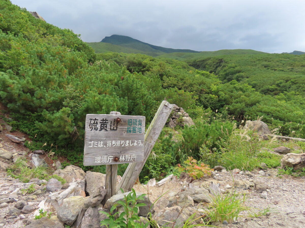 登山道からの風景。植物で覆われていてわかりにくいが、中央部の少し低い位置がカムイワッカ川。1936年の硫黄山の噴火の際は20万トンもの硫黄が流れ出し、カムイワッカ川を埋め尽くしたという