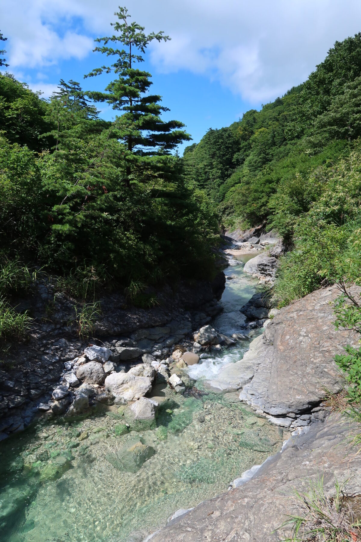 川原毛大湯滝とつながる沢の名は、湯尻沢。岩が緑色になっているのは、コケではなく、温泉の成分による